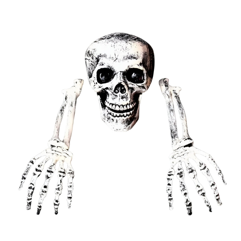 Bonechill Halloween Skeleton & Skull Decorations – Create a truly spooky atmosphere for your party or haunted house
