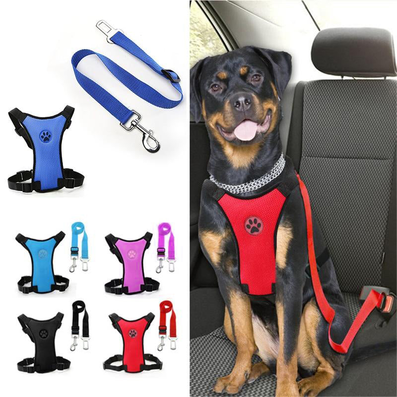 Beltrix - Seatbelt Set