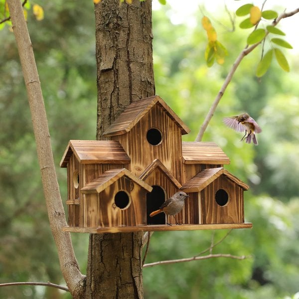 Bird Garden - A natural hideaway with six entrances