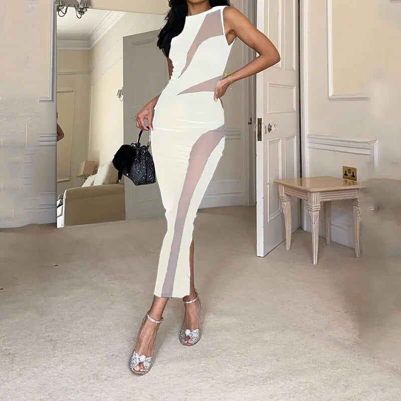 Cecily - Stylish Sleeveless Mesh Dress