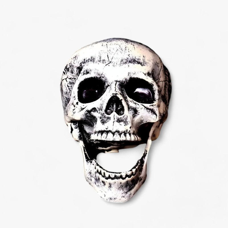 Bonechill Halloween Skeleton & Skull Decorations – Create a truly spooky atmosphere for your party or haunted house