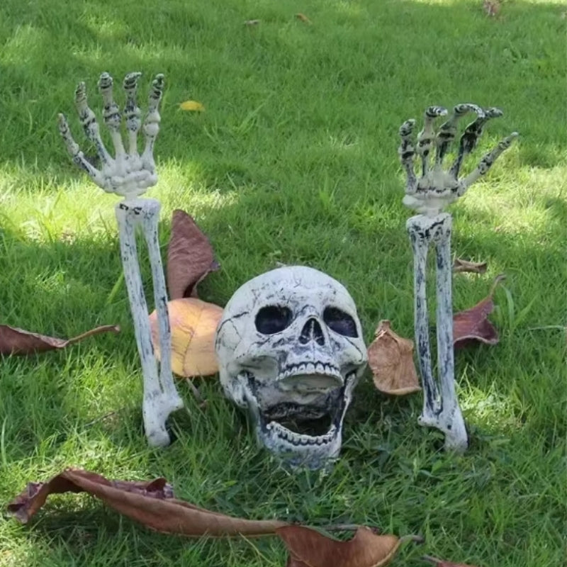 Bonechill Halloween Skeleton & Skull Decorations – Create a truly spooky atmosphere for your party or haunted house