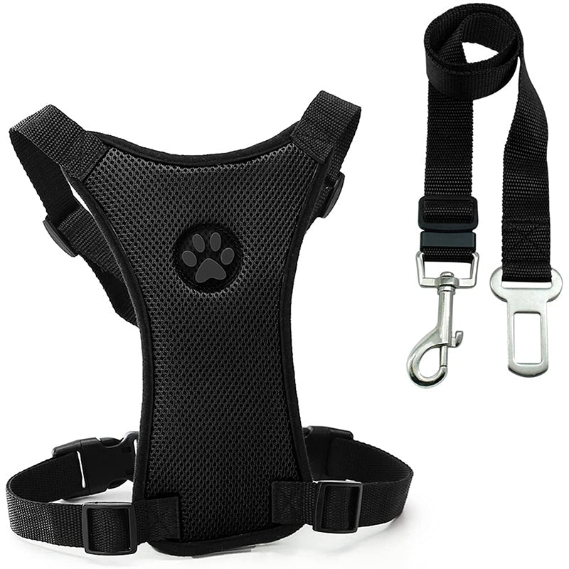 Beltrix - Seatbelt Set
