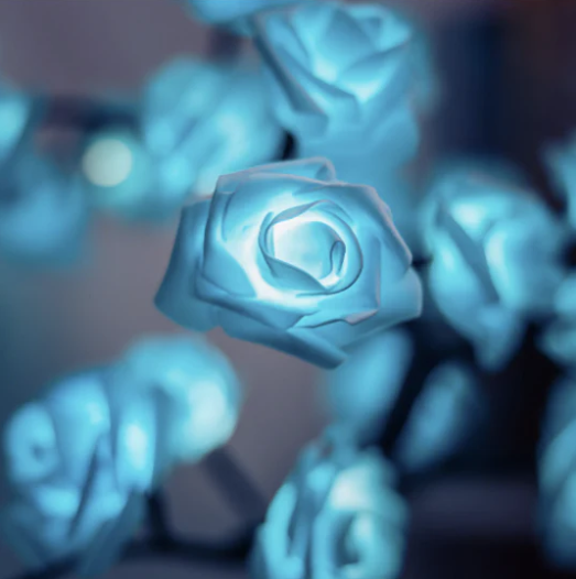 Bloomverve - Radiant Rose Lamp