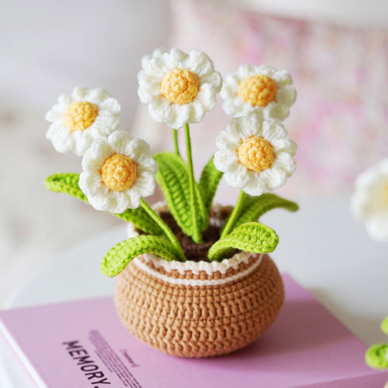 BloomCraft - Decorative Vases for Elegant Home Decor