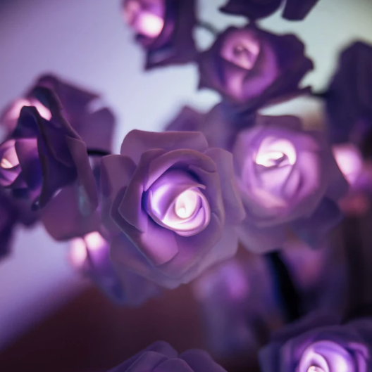 Bloomverve - Radiant Rose Lamp