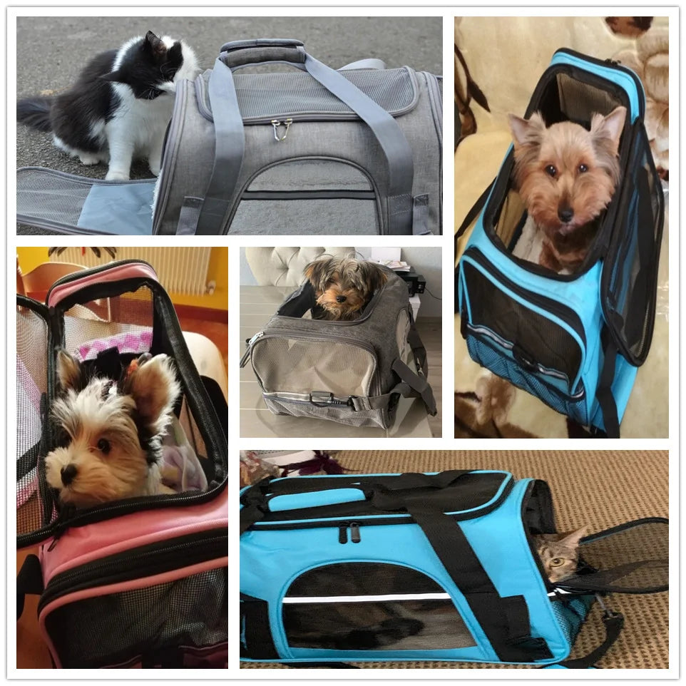 Pawporter - Stylish and versatile pet travel bag