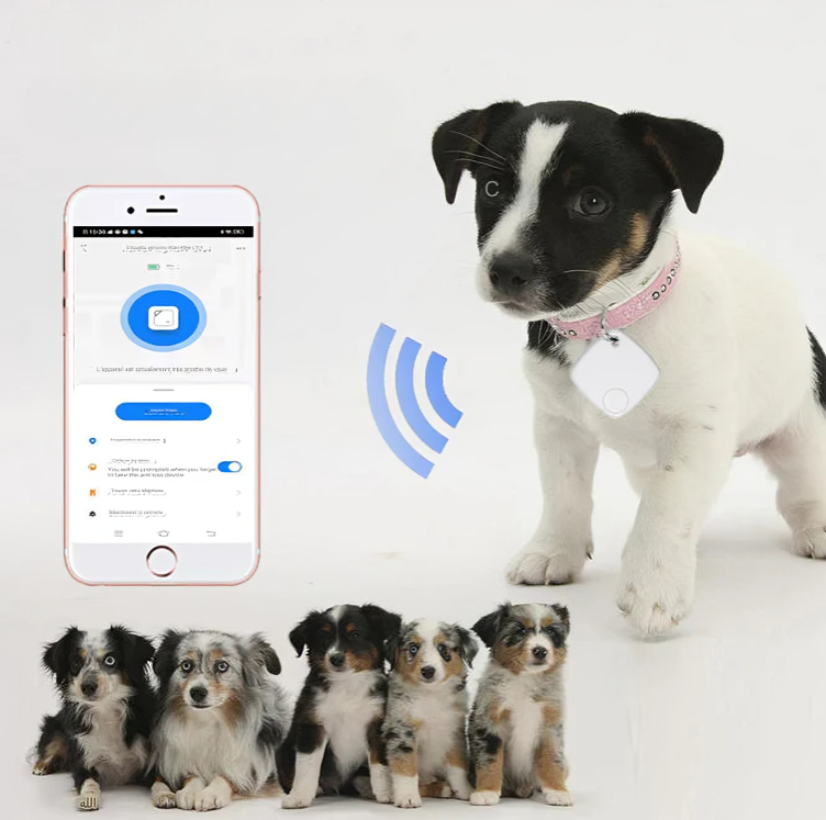 テールトラック - 猫と犬のための GPS