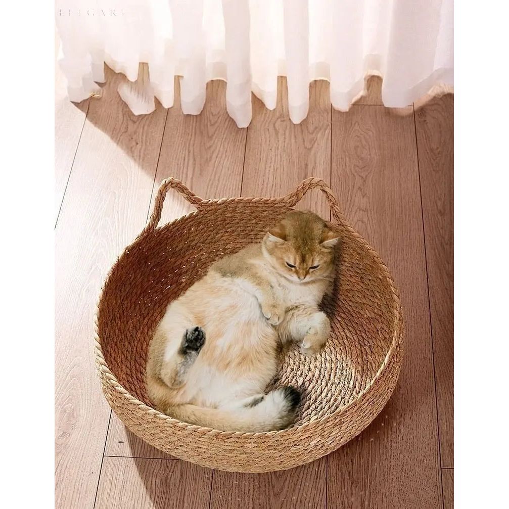 Dream Paws - The Ultimate Comfortable Cat Bed