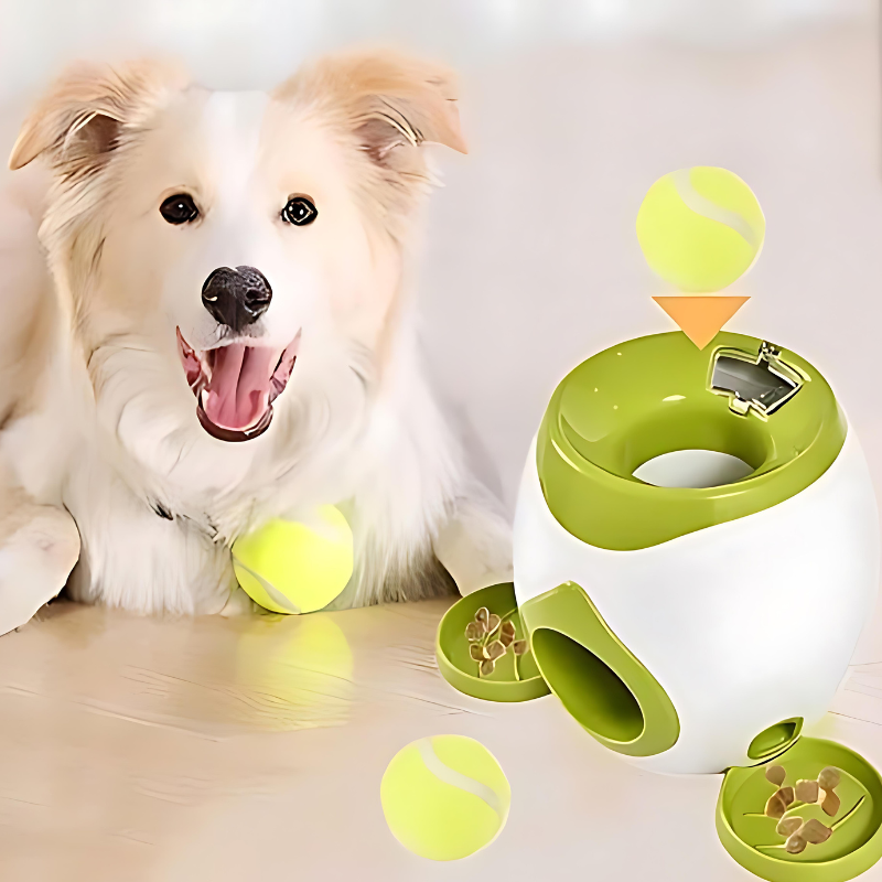 Treat Launcher - Automatic ball launcher with snacks