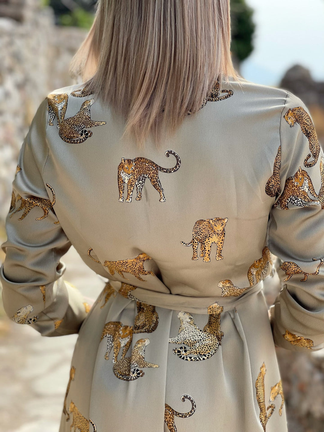 Frida - Leopard Print V-Neck Satin Dress