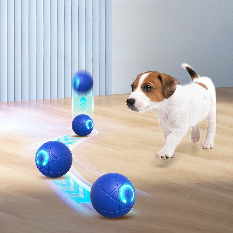 パウリックスあなたの犬のための耐久性のあるおもちゃ!