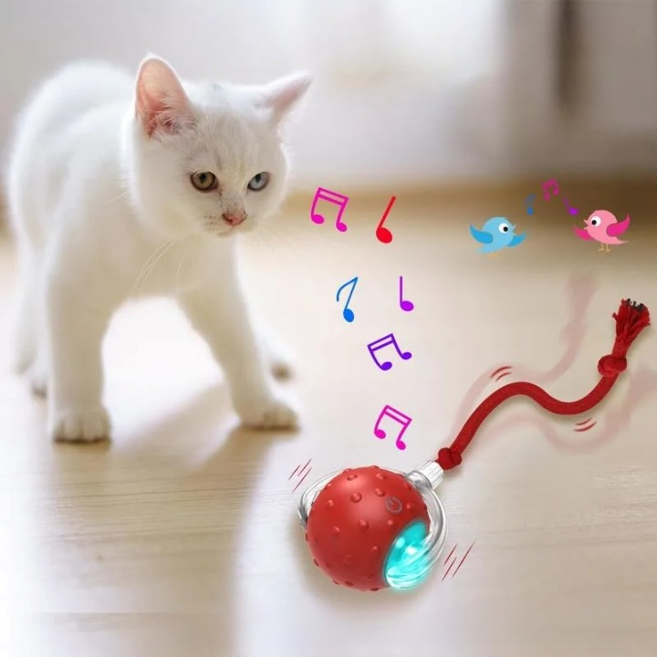 Catrio - Cat Toy