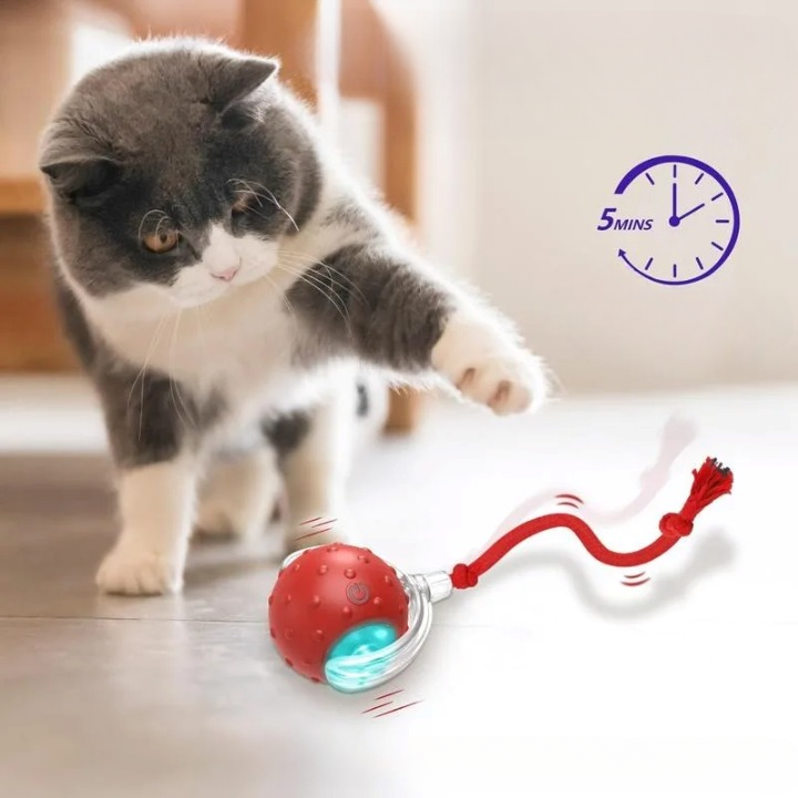 Catrio - Cat Toy