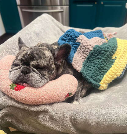 Cuddle Cloud - Animal Pillow