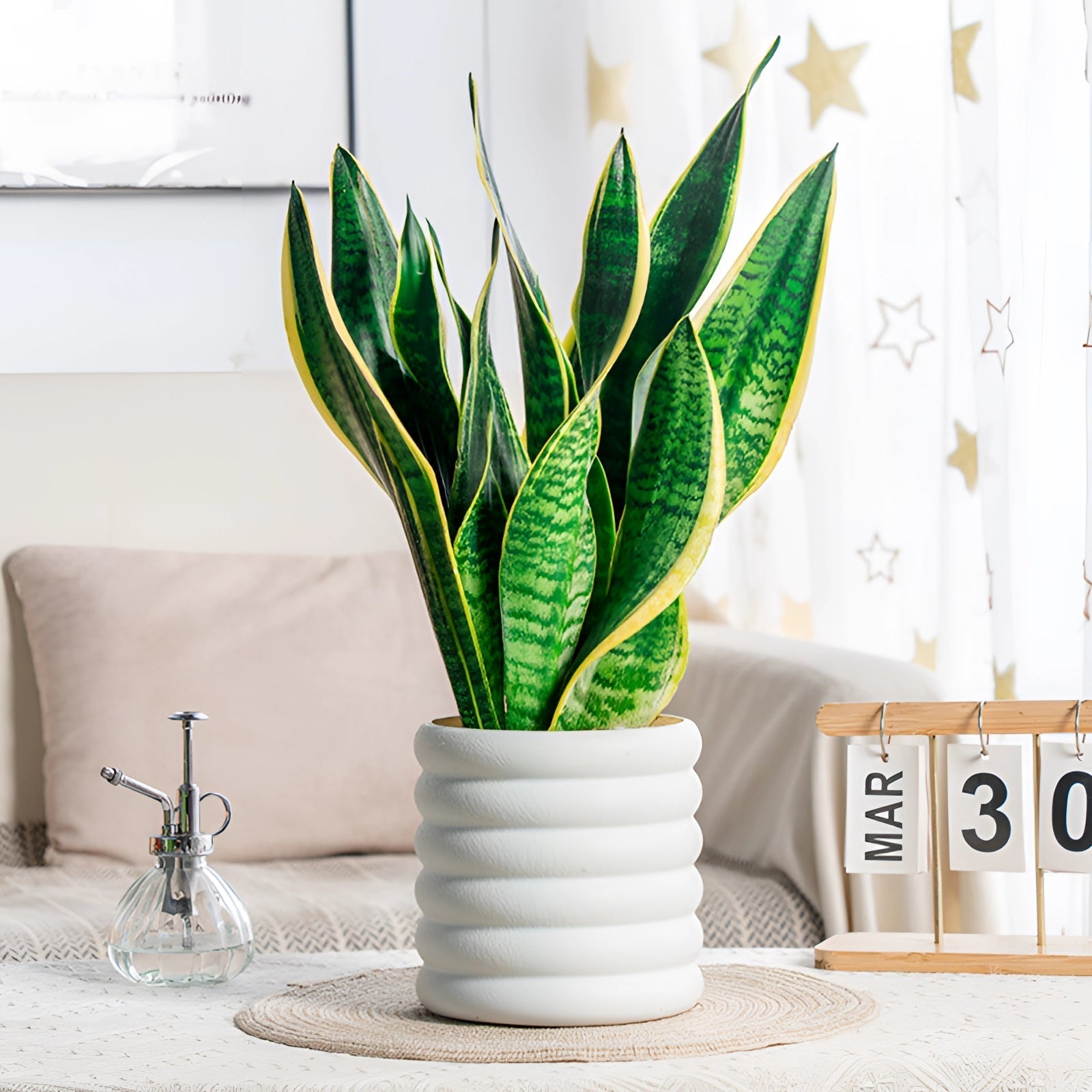 Verdeva - modern indoor planter