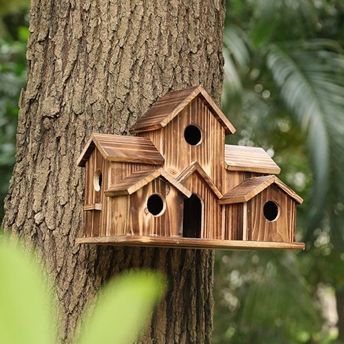 Bird Garden - A natural hideaway with six entrances