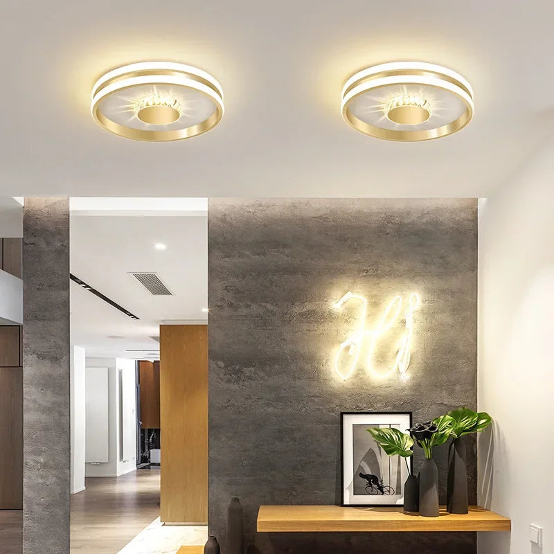 Light - Modern LED Ceiling Lamp