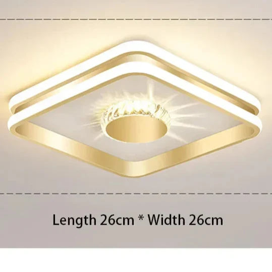 Light - Modern LED Ceiling Lamp
