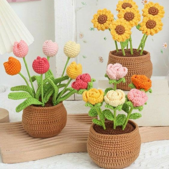 BloomCraft - Decorative Vases for Elegant Home Decor