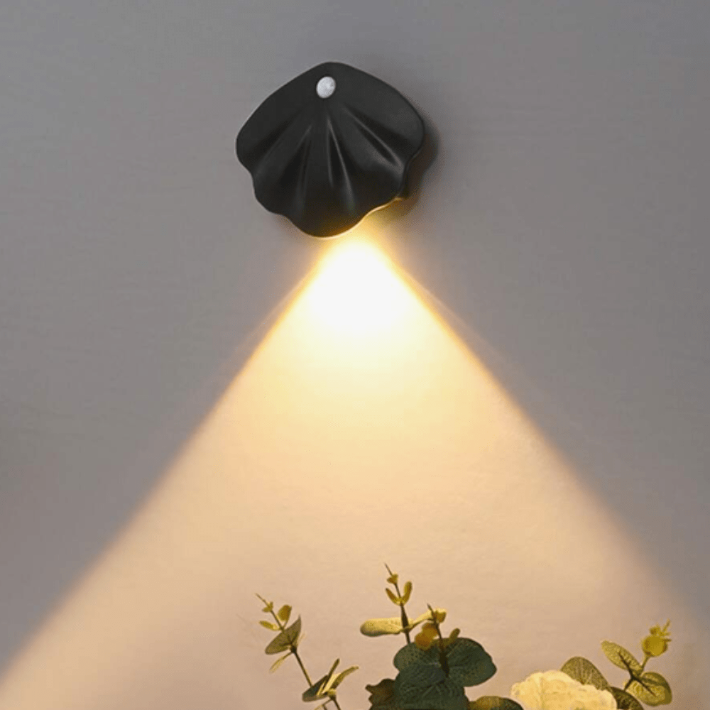 Globia – Shell Wall Lamp