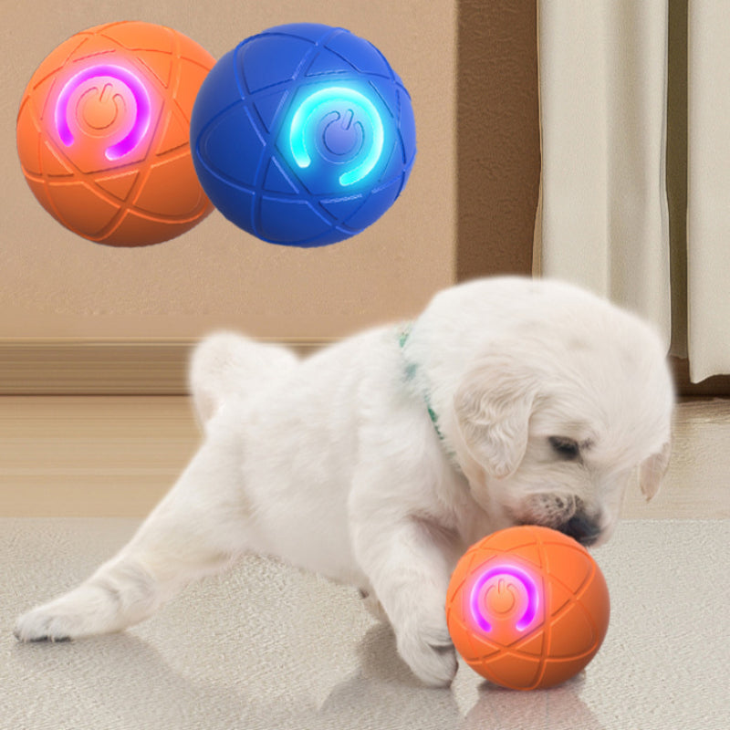 パウリックスあなたの犬のための耐久性のあるおもちゃ！