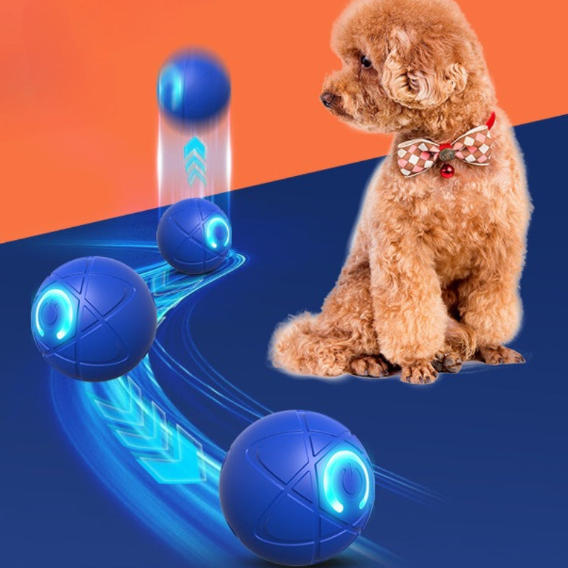 パウリックスあなたの犬のための耐久性のあるおもちゃ！