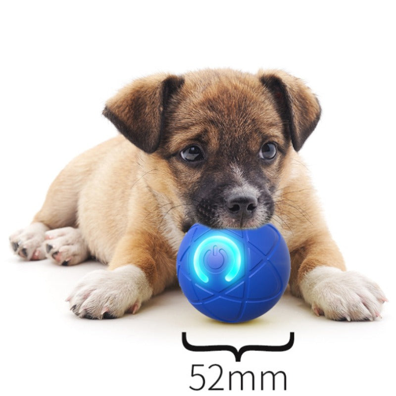 パウリックスあなたの犬のための耐久性のあるおもちゃ！