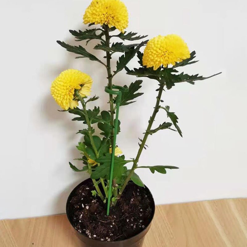 信頼性の高い植物サポートポール